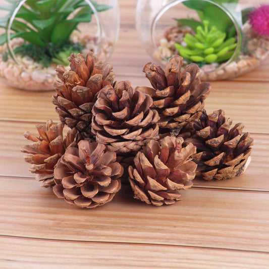 Natural Pine Cone for Christmas Decoration - ArtyCraftz