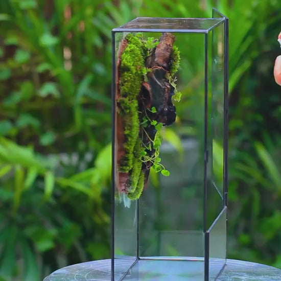 Glass Terrarium Planter with Front Opening Door-ArtyCraftz.com