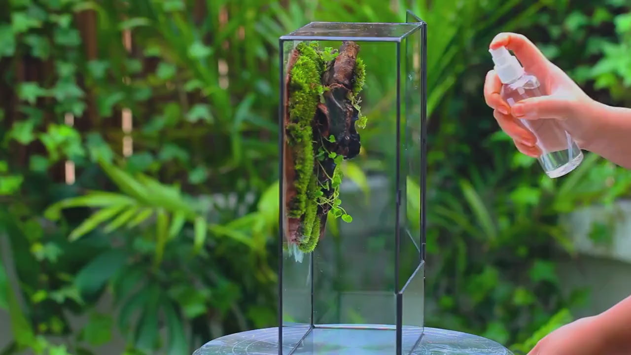 Glass Terrarium Planter with Front Opening Door-ArtyCraftz.com