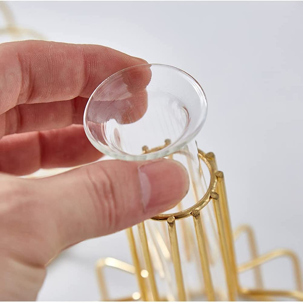 Propagation Station with Metal Frame, Test Tube Glass Items Vase for Flower Pot - ArtyCraftz