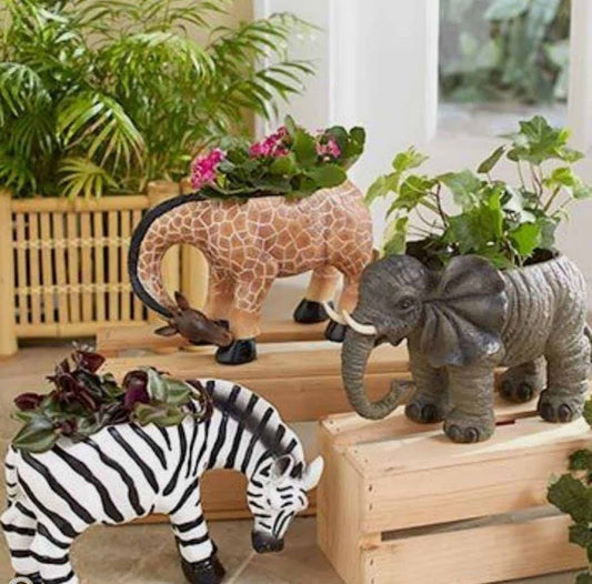 Resin Elephant, Giraffe and Zebra Shape Planter - ArtyCraftz