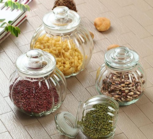 Transparent Clear Pumpkin Glass Container - ArtyCraftz