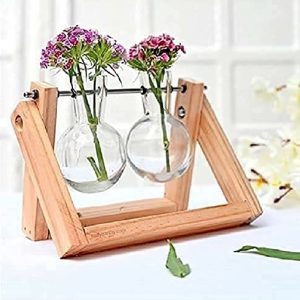 Hydroponic Table Top Planter | Double Glass Vase with Pine Wood Stand | Indoor Planter (Handcrafted by Indian Artisians)