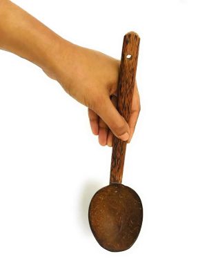Pala Natural Handmade Coconut Shell Serving Spoon | Eco-Friendly (2)