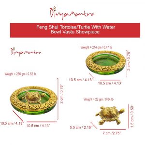 Glass 2.5 Inch Tortoise with 4 Inch Diameter Water Plate Home Decor Collectible Ornament Charm Set – Multicolor, Gold