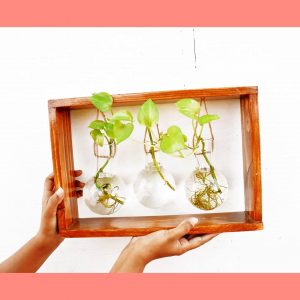 Elegant Wooden Flask Stand | Set of Stand and 3 Flask | Planter | Flask Planters | propagate in Style | Best Plant Propagation Stations | Tube Planter