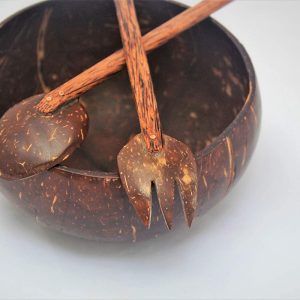 Coconut Shell Random Bowl, Spoon and Fork – 900ml, 1 Piece, Brown