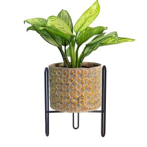 Modern Small Iron Plant Stand Without Planter, Flower Pot Living Room Decor (20 x 20 x 25 cm) (Black)