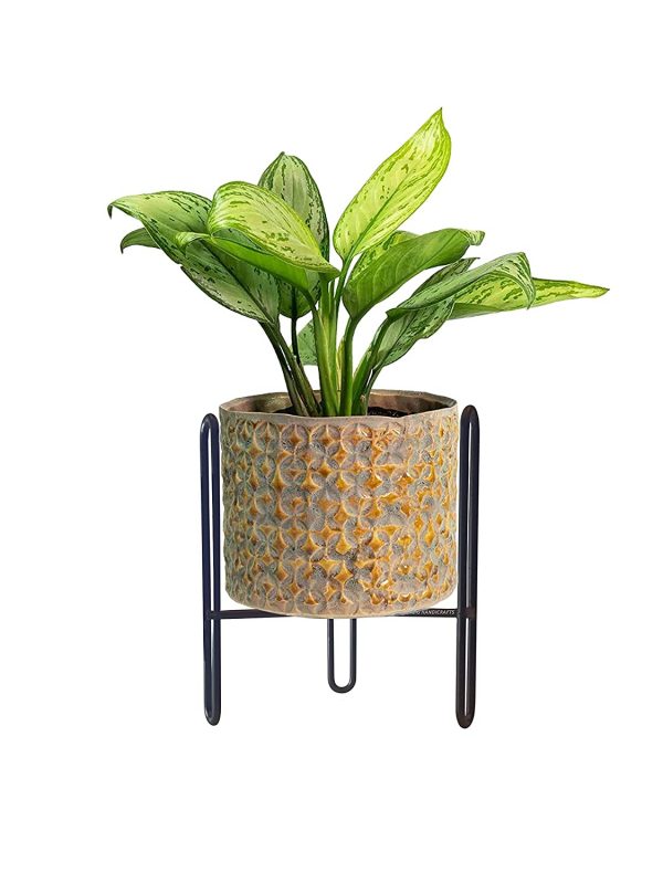 Modern Small Iron Plant Stand Without Planter, Flower Pot Living Room Decor (20 x 20 x 25 cm) (Black)