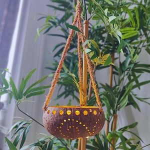 Handcrafted Engraved Hanging Coconut Shell Planter with Cotton Thread for Terrrace