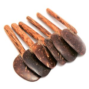 Coconut Shell Masala Spoon Set of 6 for Small Containers | Handmade & Eco-Friendly | for Tea, Coffee, Sugar, Spices