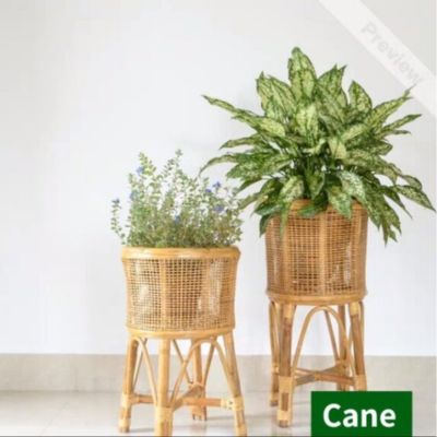 Handmade Cane Planter with Stand