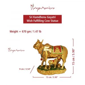 Sri Kamdhenu Gayatri Wish Fulfilling Holy Cow with Calf