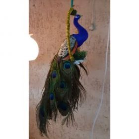 Handcrafted Sitting on Swing Fiber Peacock 18 inches Showpiece