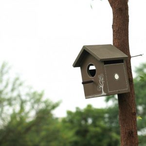 Handcrafted Pakshi Gruh- Wooden Bird House-Tree Art