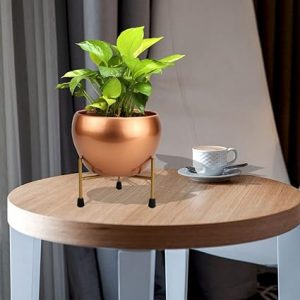 Iron Pot With Stand Gold Finish
