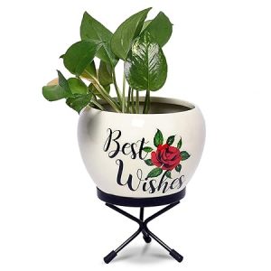 Iron Best Wishes Pot for Home Decor and Gifting