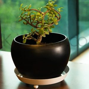 Iron Pot with Tray for Home Decor and Gifting (Black Color)