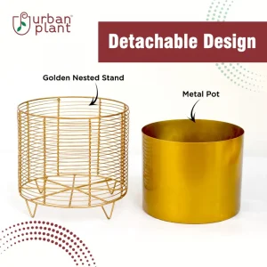 Iron Golden Pot with Stand