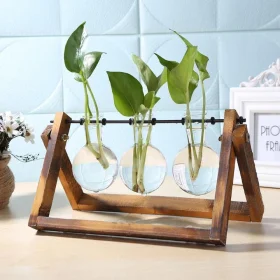 Planter Tubes in Wooden Holder for Home Decor and Gifting