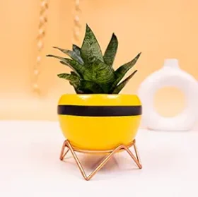 Iron Apple Enameled Pot with Stand