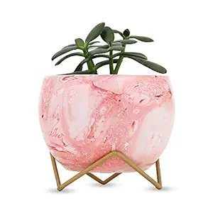 Iron Pink Pot for Indoor and Outdoor