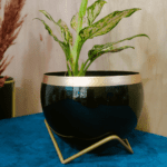 Iron black Pot with stand for Indoor and Outdoor