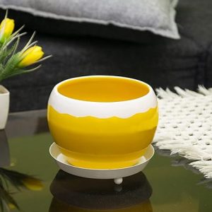 Iron yellow Pot with Saucer for Indoor and Outdoor