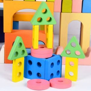 Wooden Puzzle Toys for Childrens and Gifting