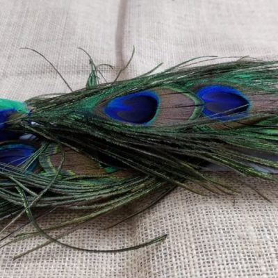 Handcrafted 8 Inches Baby Peacock
