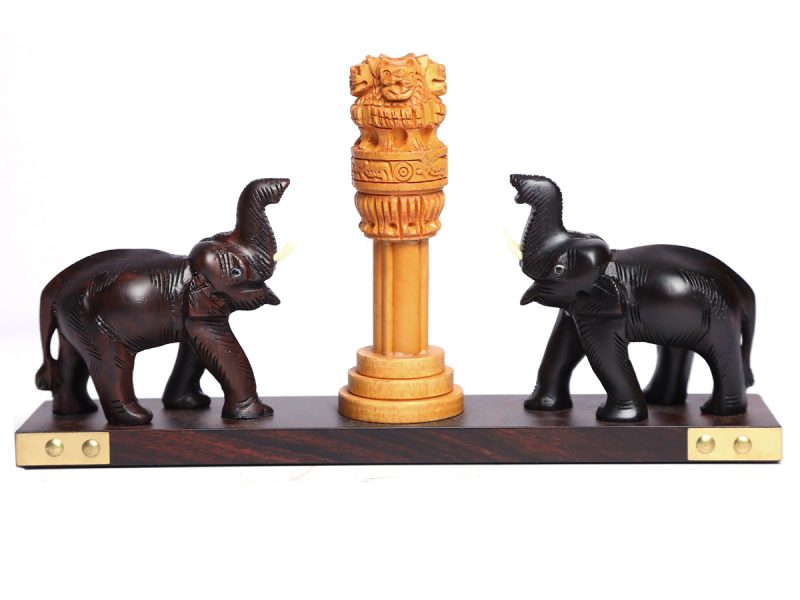 Elephant With Ashok Pillar
